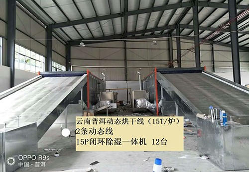雲南普洱動態烘幹線